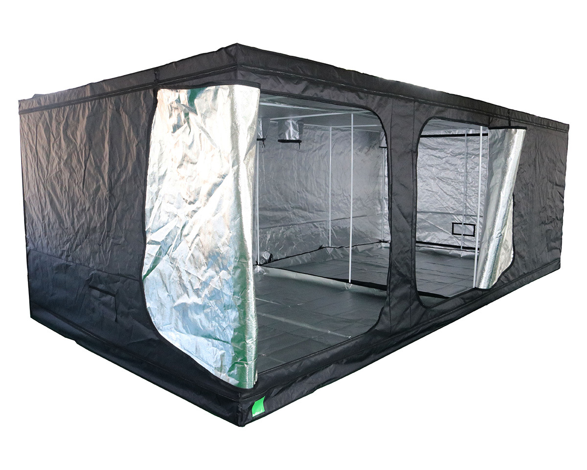 BudBox LITE 600x300x200 Grow Tent